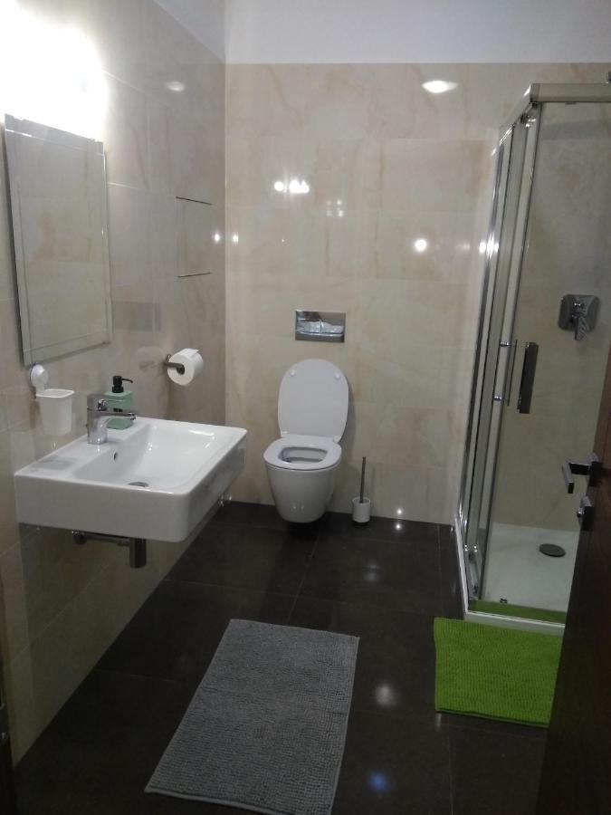 Apartman Rezidence Moser-Free Parking Garage Karlovy Vary Kültér fotó