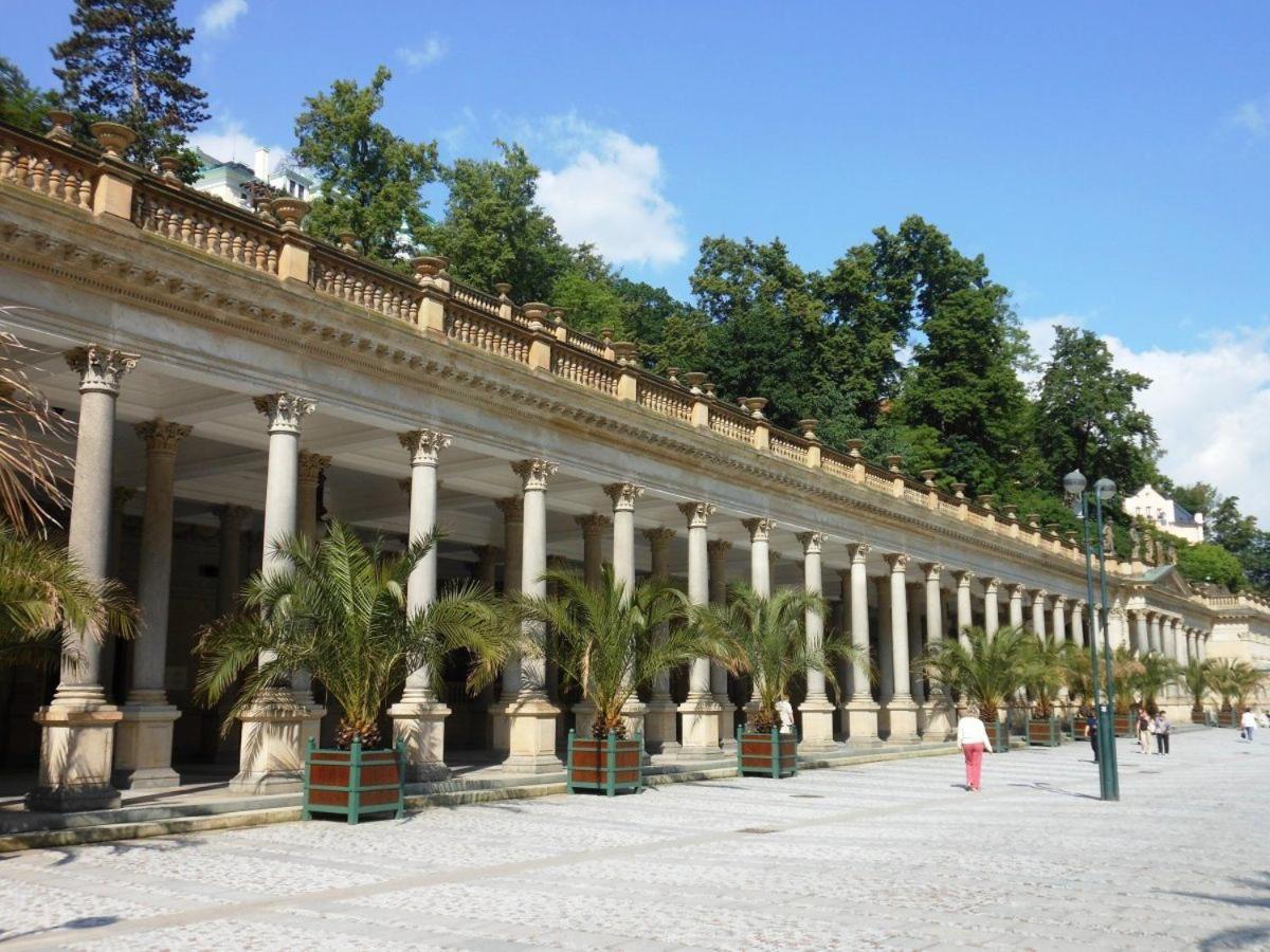Apartman Rezidence Moser-Free Parking Garage Karlovy Vary Kültér fotó